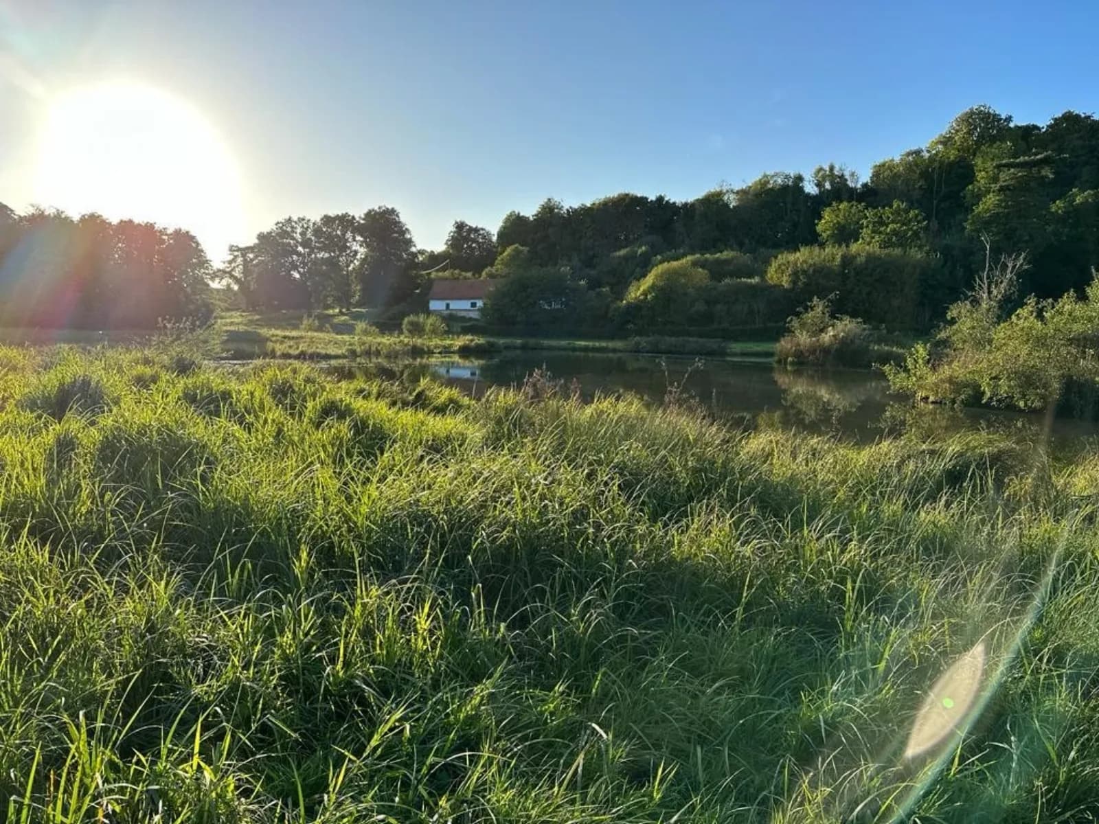 Les extérieurs — plan d'eau, herbe haute et forêt au Domaine de La Planquette
