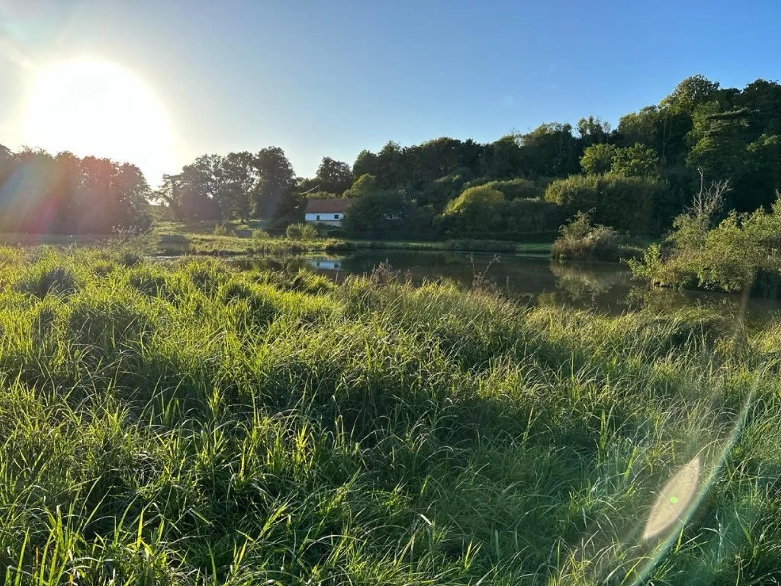 Les extérieurs — plan d'eau, herbe haute et forêt au Domaine de La Planquette